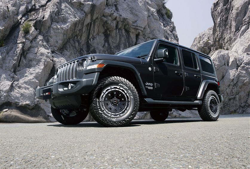 ДИСК АВТОМОБИЛЬНЫЙ АЛЮМИНИЕВЫЙ ЛИТОЙ LEHRMEISTER GEAR LMG DS-10 18х8 ET+25 6X139.7 ЦО-106.2